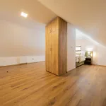 Penzion Erlenův Dvůr Skorosice